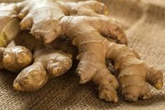 Fresh Organic Ghana Ginger – Premium Whole Rhizomes for Global Export - Image 3